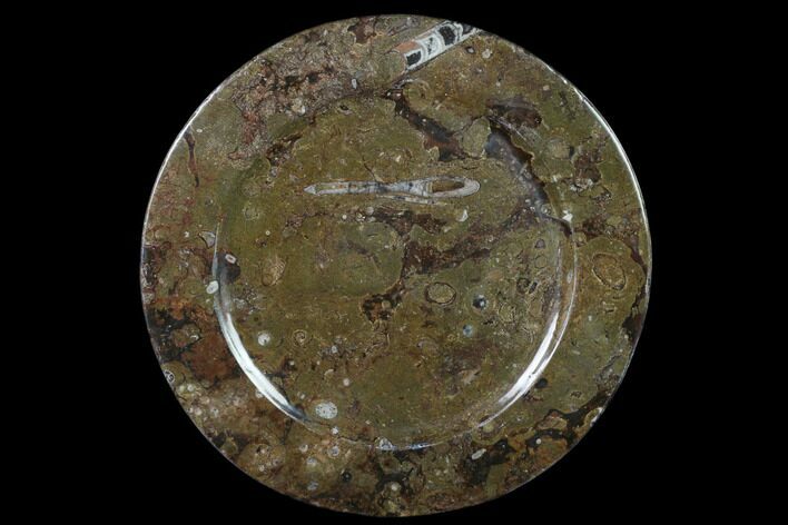 Fossil Orthoceras & Goniatite Round Plate - Stoneware #140067